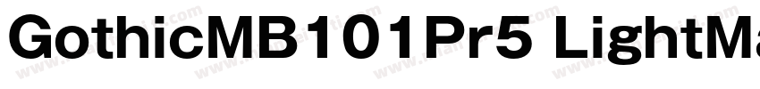 GothicMB101Pr5 LightMaruFoPro Regul字体转换